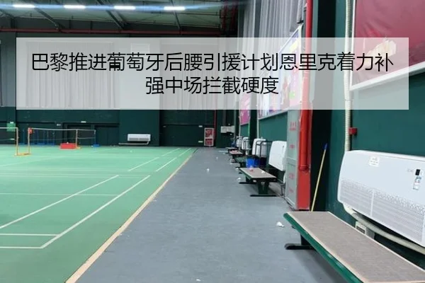 巴黎推进葡萄牙后腰引援计划恩里克着力补强中场拦截硬度